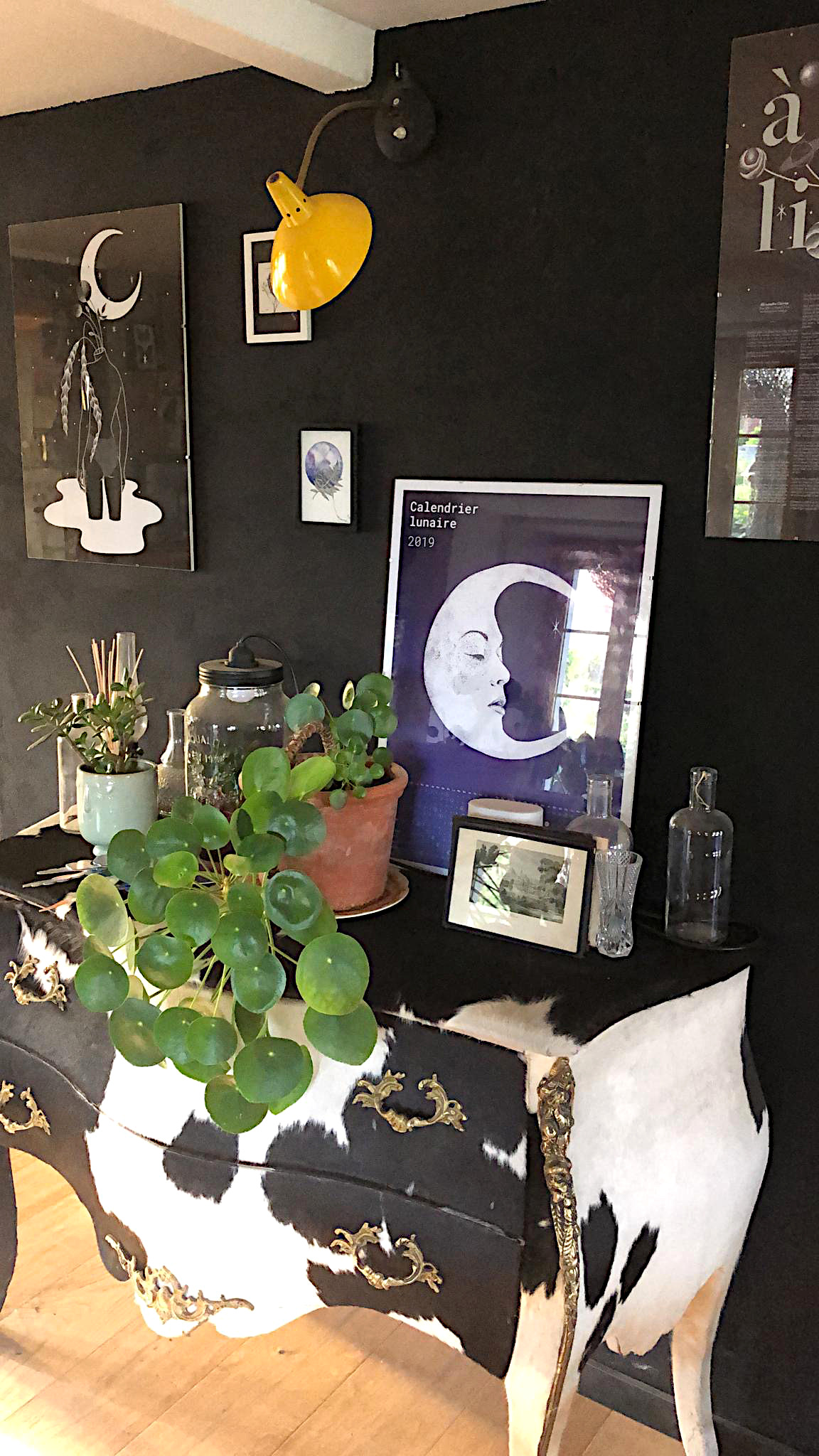 Aquarelle noiram mlam poncet la petite fleureuse judski pilea