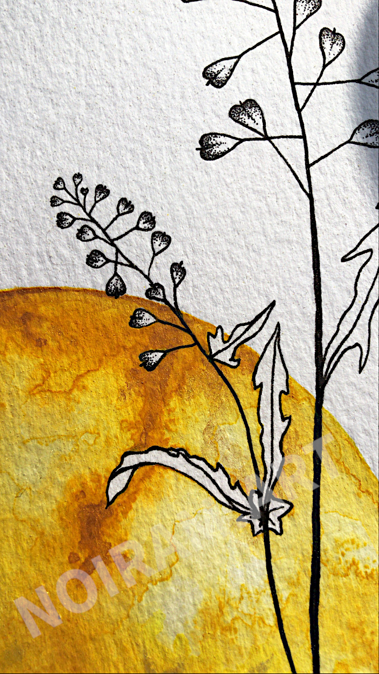 L'or de mes jours aquarelle mlam noiram Poncet libellule bourse à pasteur soleil planète or