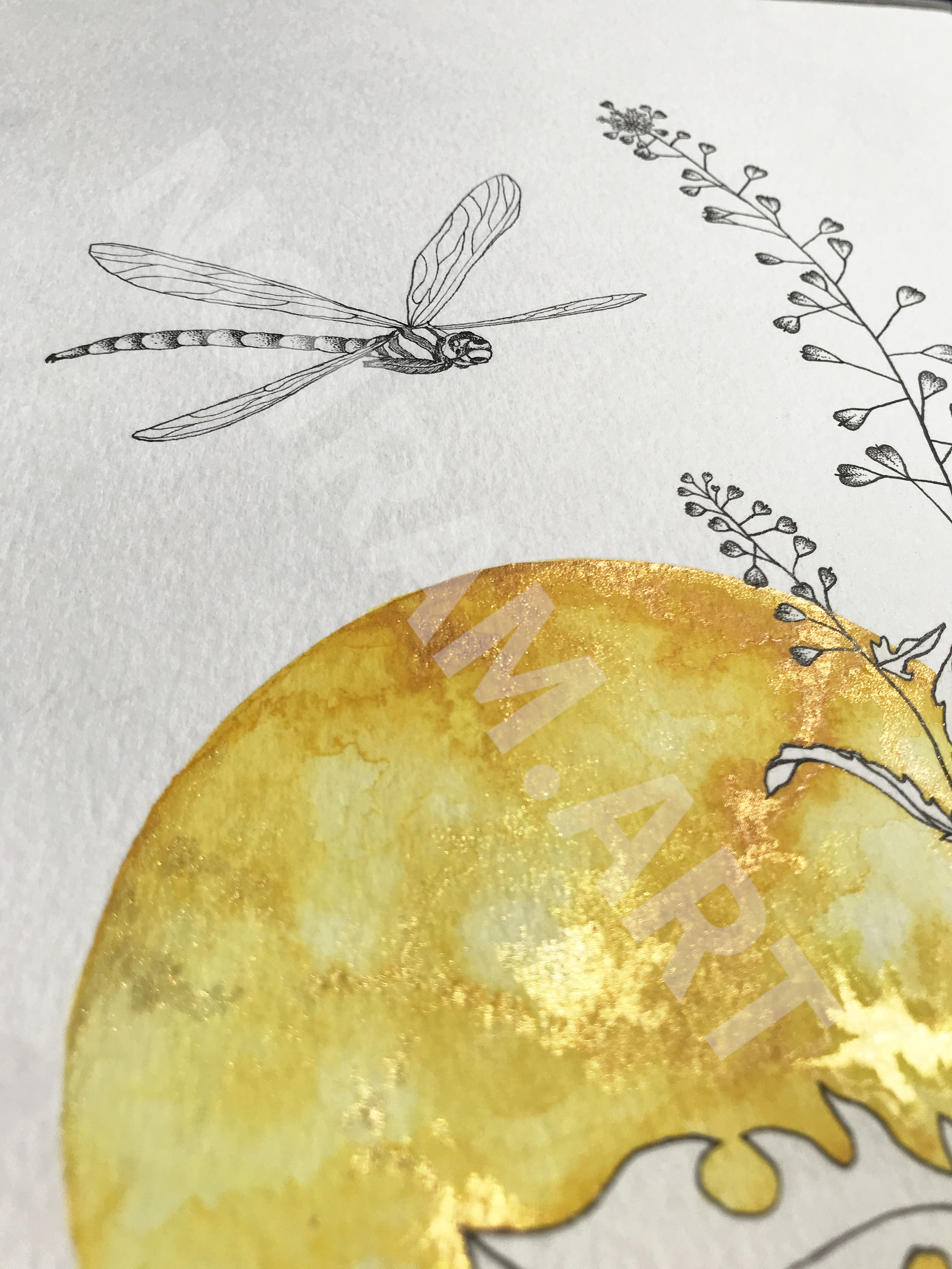 L'or de mes jours aquarelle mlam noiram Poncet libellule bourse à pasteur soleil planète or