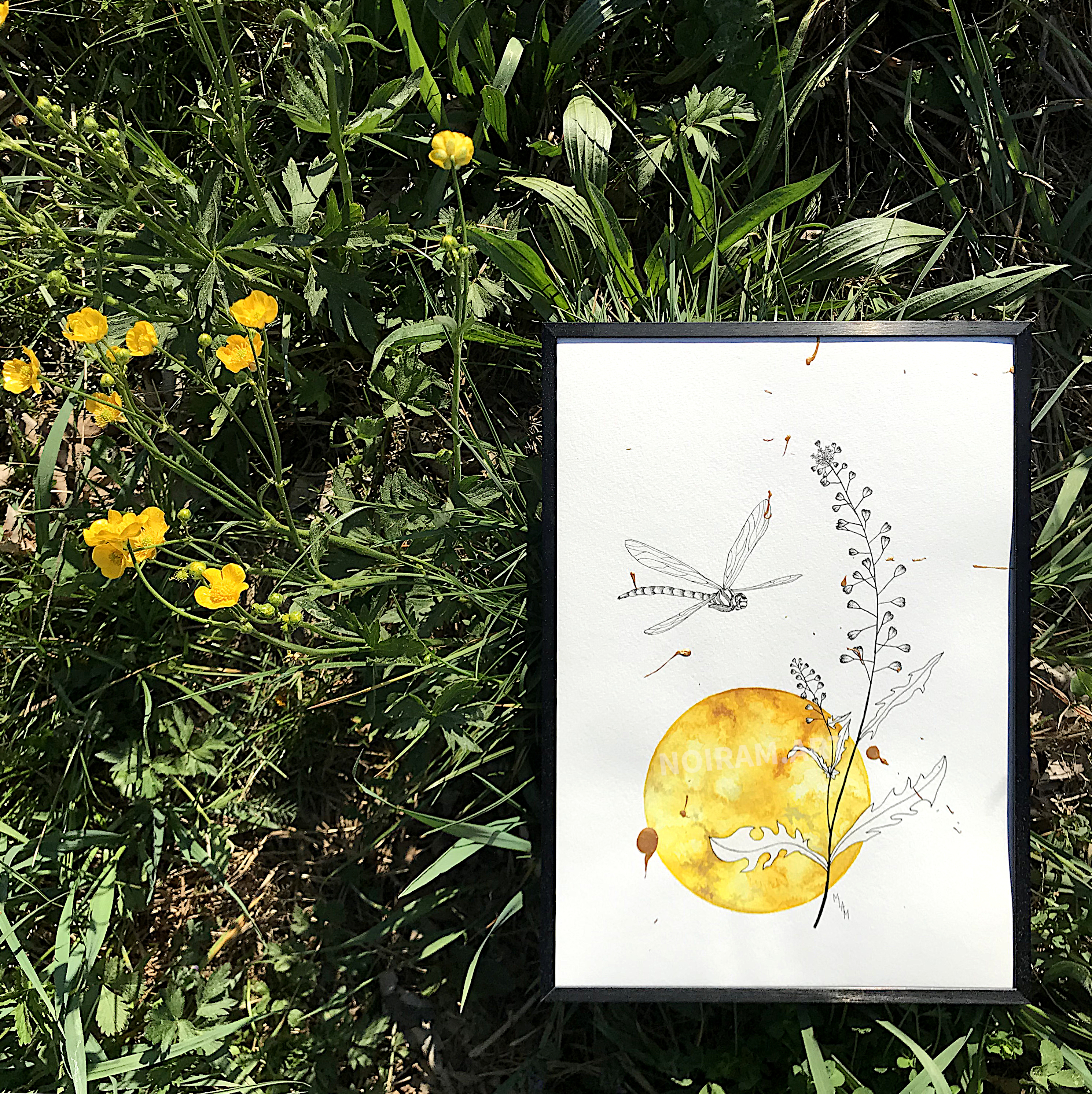 L'or de mes jours aquarelle mlam noiram Poncet libellule bourse à pasteur soleil planète or