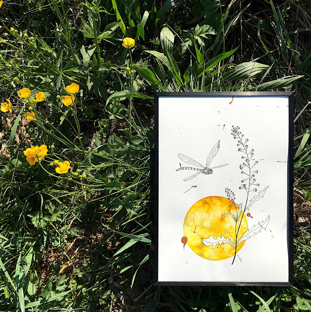 L'or de mes jours aquarelle mlam noiram Poncet libellule bourse à pasteur soleil planète or