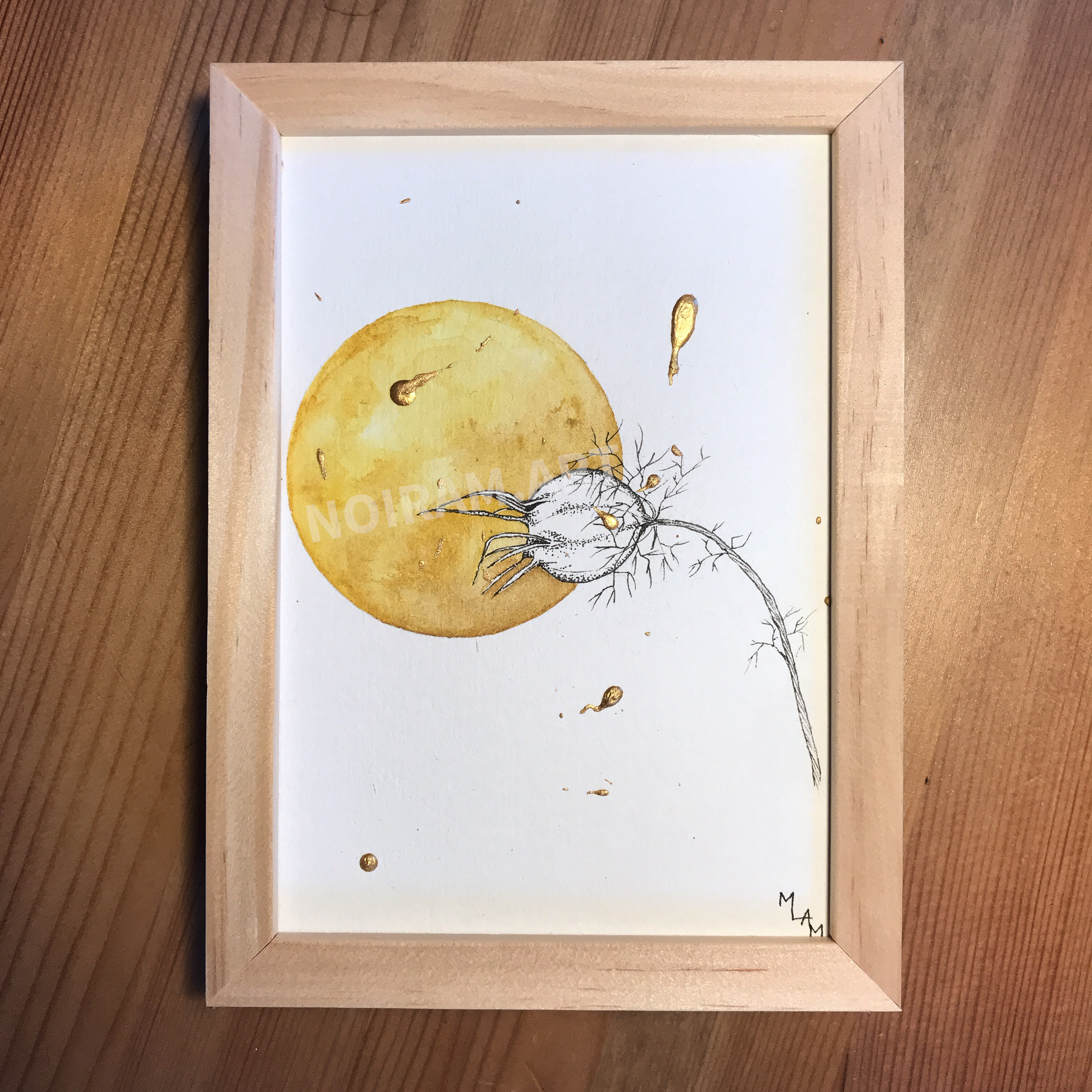 Aquarelle arachnoïde nigelle monstre planète plante mlam noiram marion-lorraine poncet