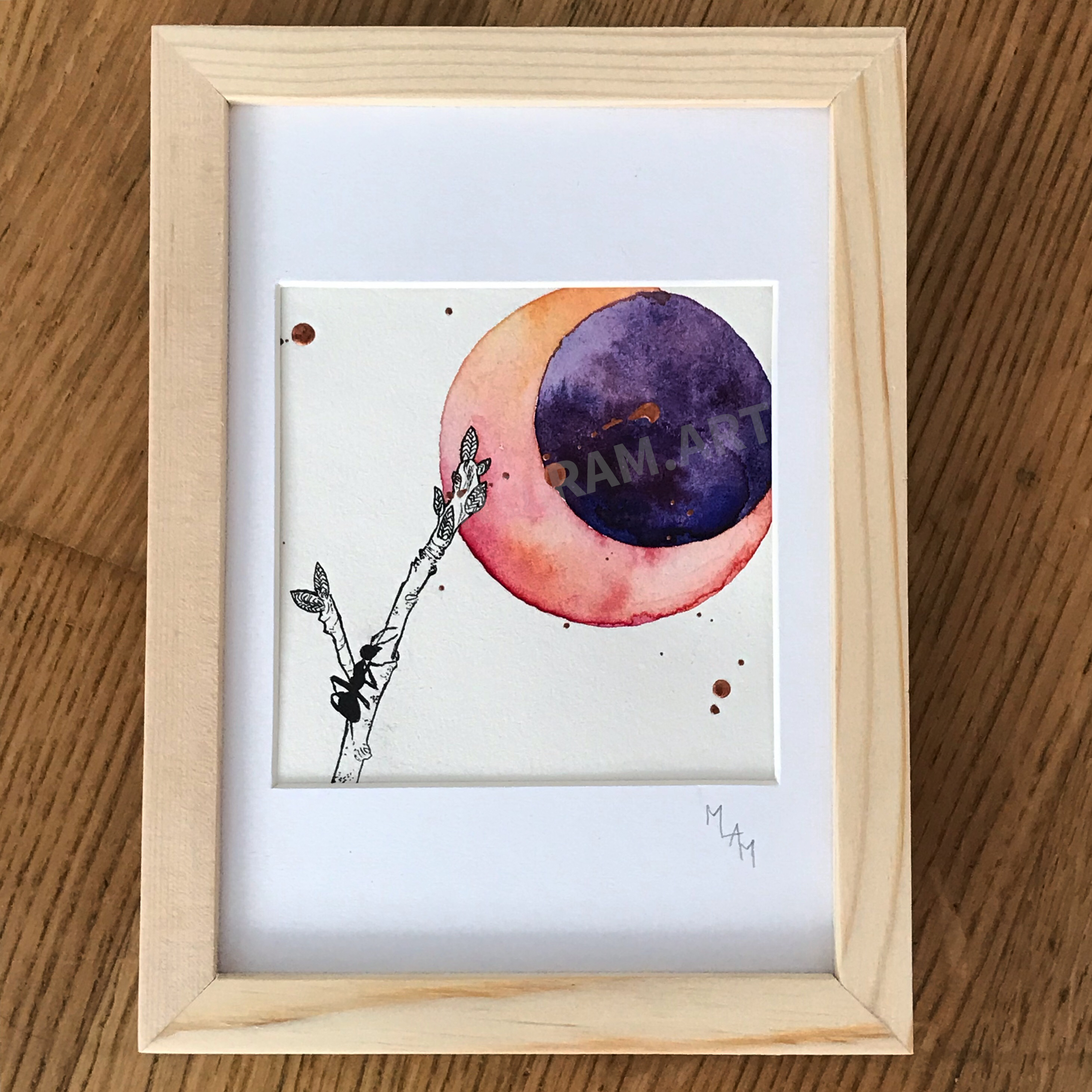 Aquarelle l'insomniaque fourmis bourgeon lune planète plante mlam noiram marion-lorraine poncet