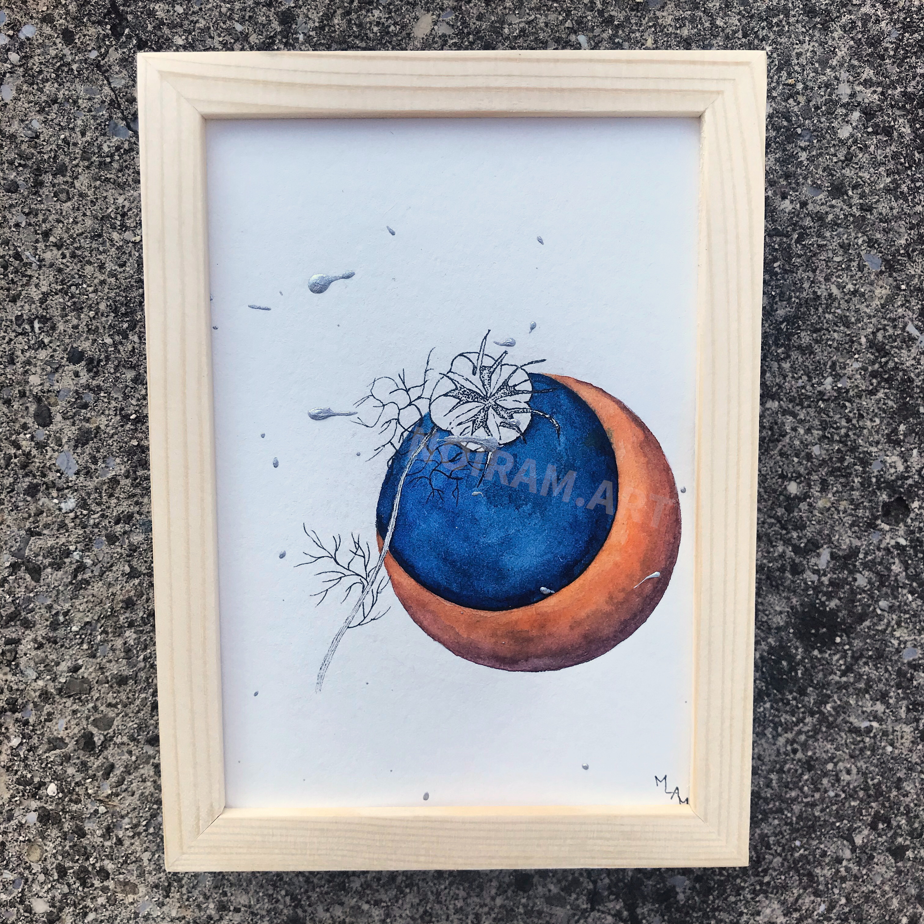 Aquarelle lune d'automne nigelle planète plante mlam noiram marion-lorraine poncet