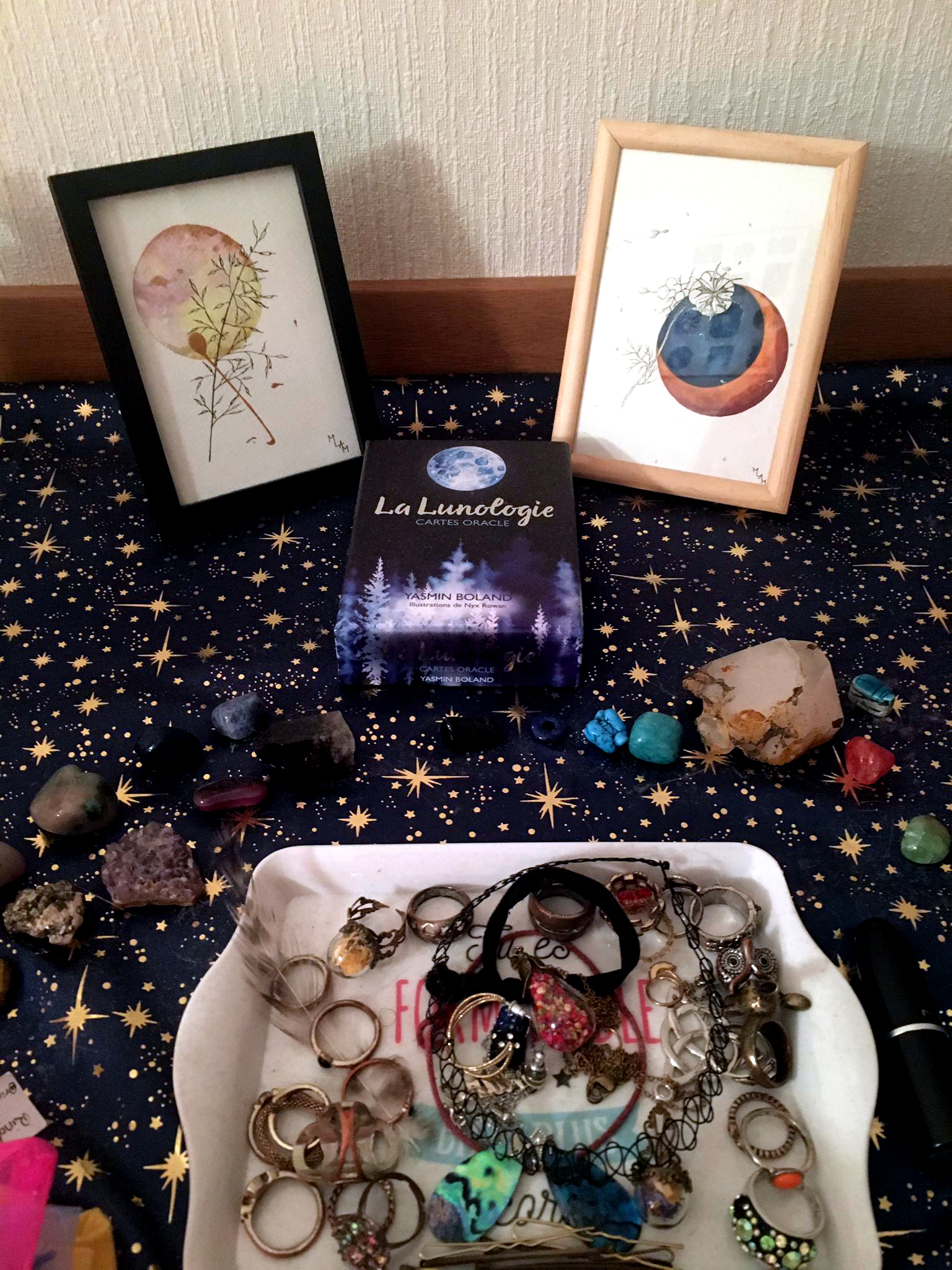 Aquarelle Amélie rose jaune mlam noiram marion-lorraine poncet planète plante nigelle lune d'automne