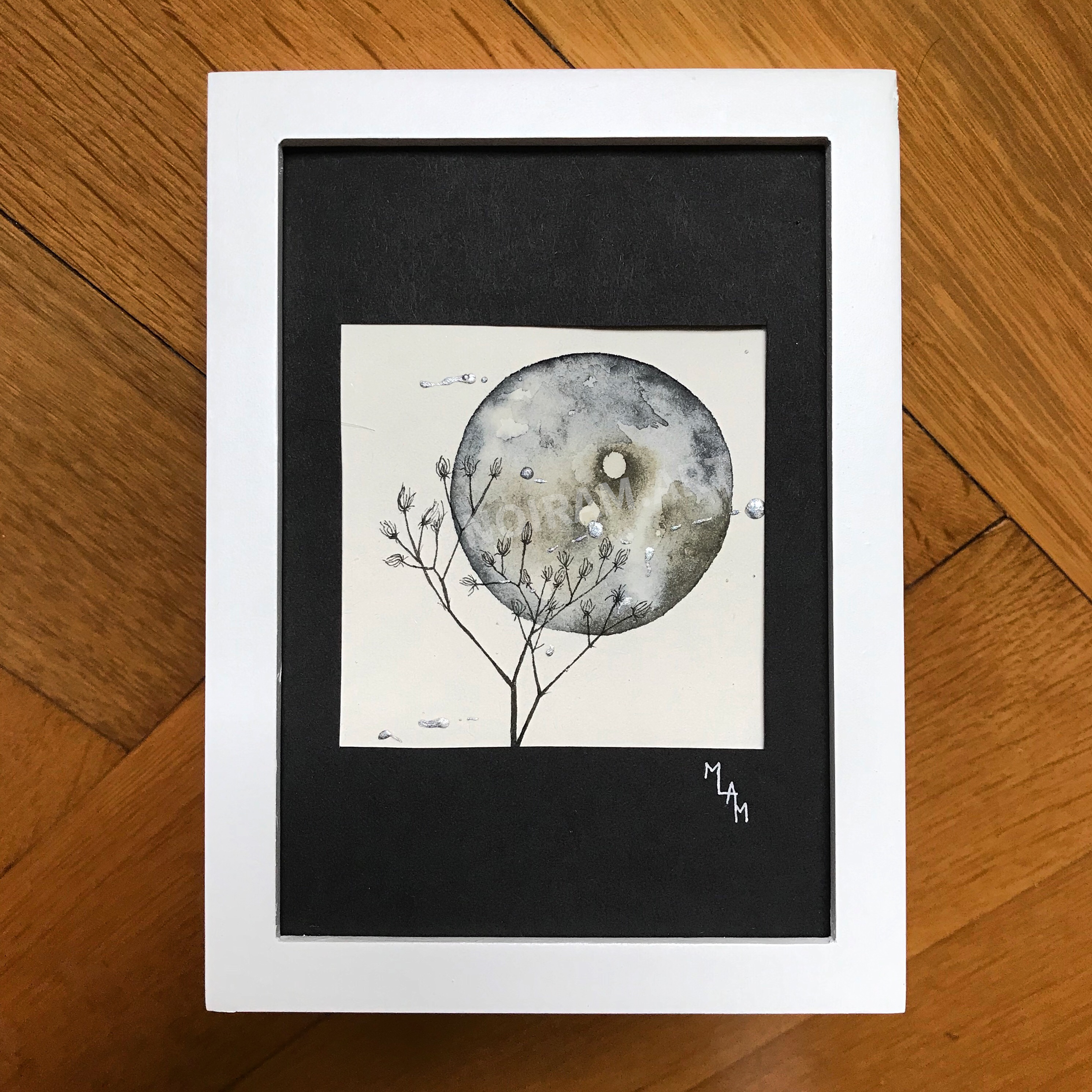 Aquarelle lune noire planète plante mlam noiram marion-lorraine poncet