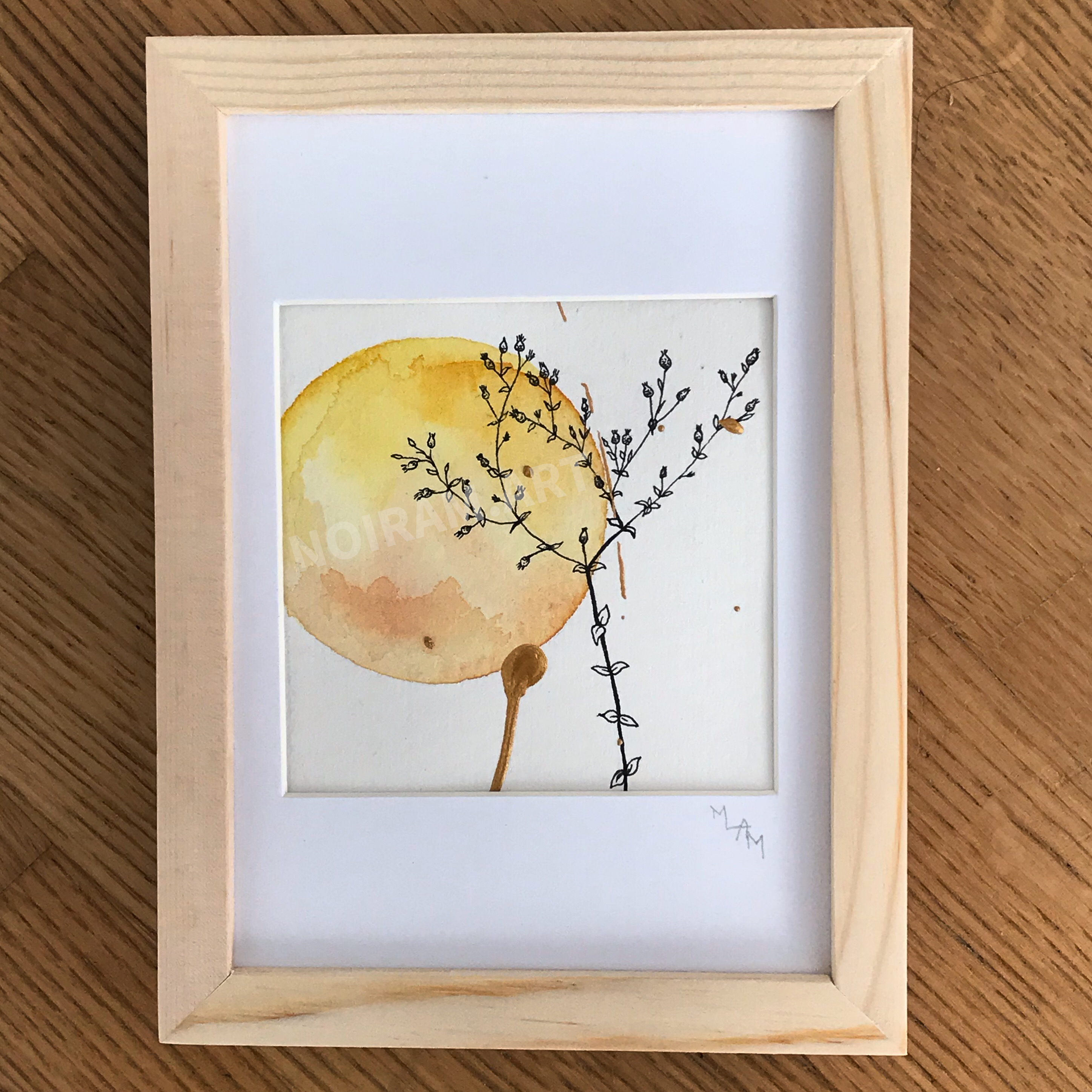 Aquarelle St-Jean planète plante mlam noiram marion-lorraine poncet