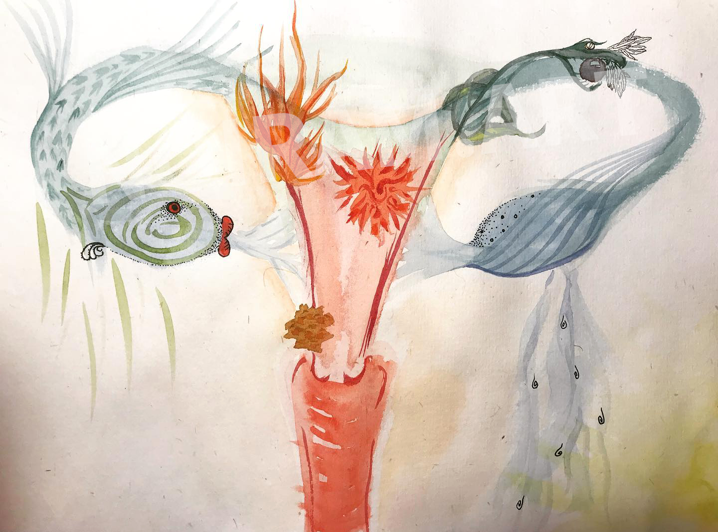 Aquarelle noiram mlam poncet uterus dragon eau feu