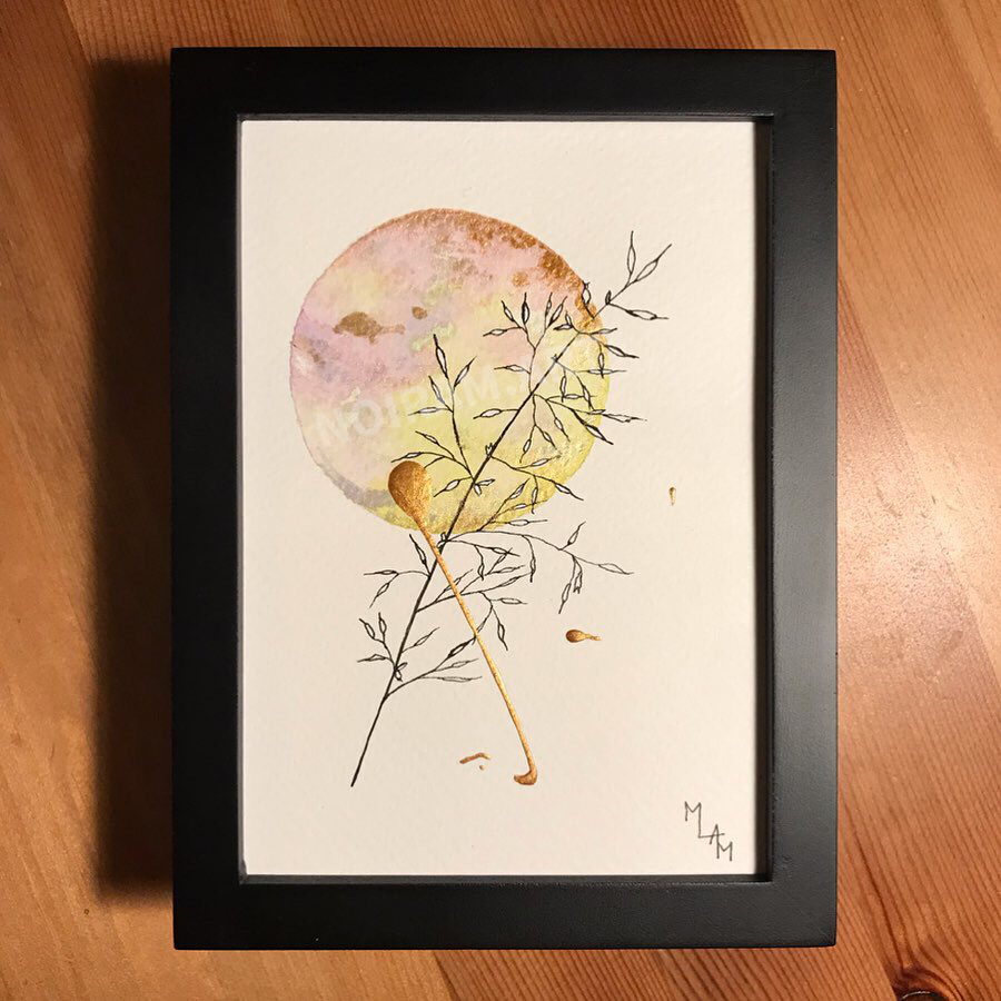 Aquarelle Amélie rose jaune mlam noiram marion-lorraine poncet planète plante
