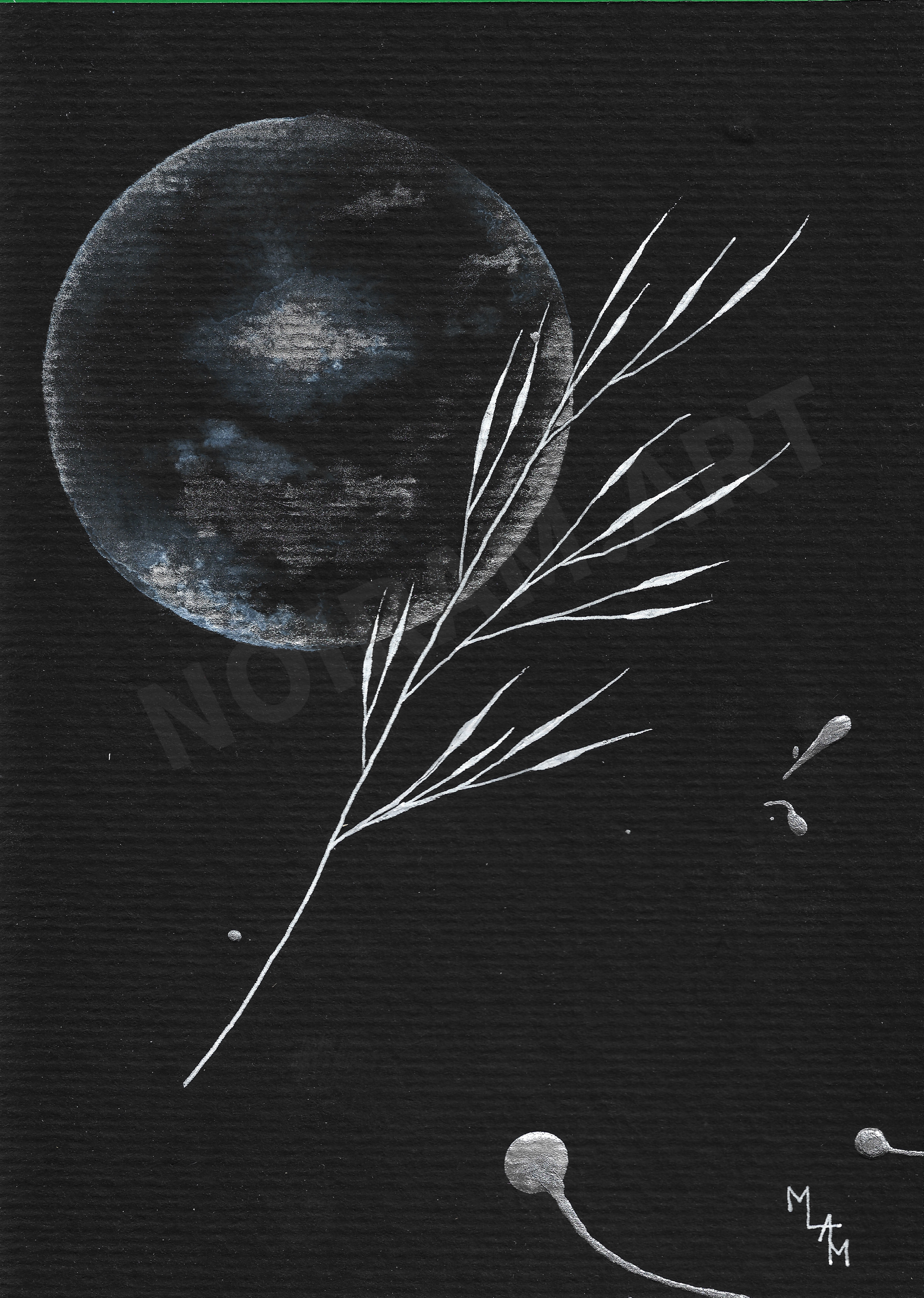 Aquarelle papier noir apesenteur mlam noiram marion-lorraine poncet planète plante