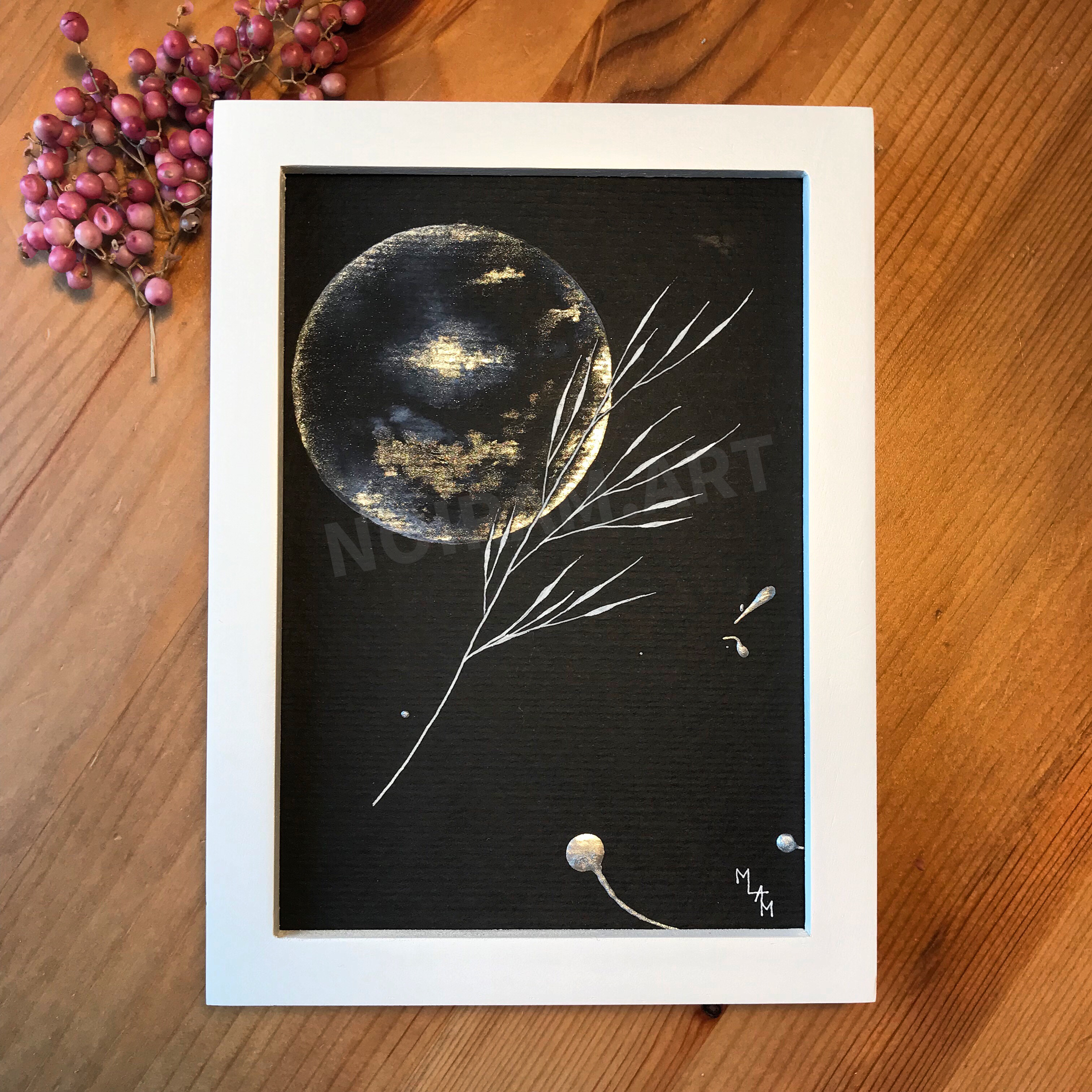 Aquarelle papier noir apesenteur mlam noiram marion-lorraine poncet planète plante