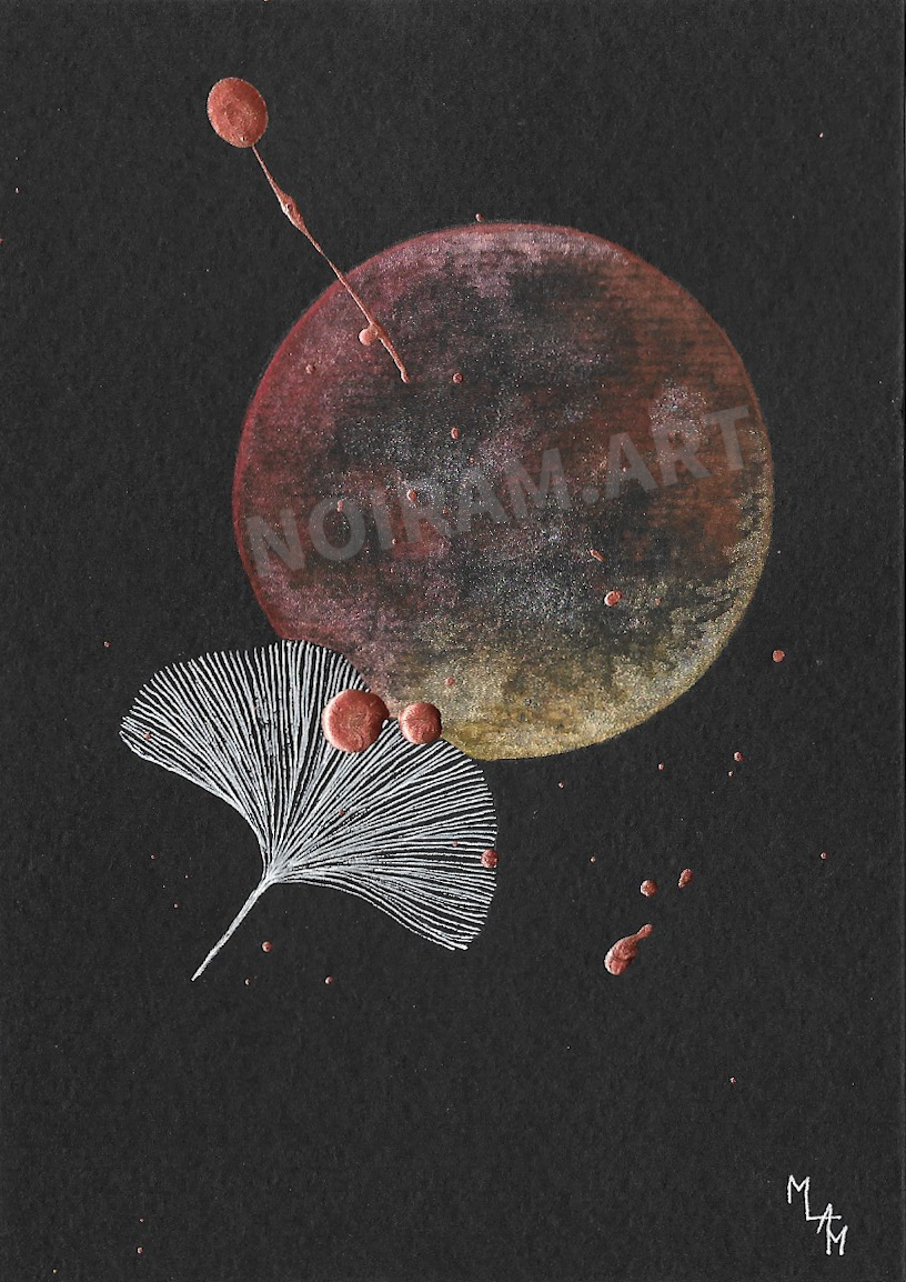 Aquarelle papier noir astragale ginkgo mlam noiram marion-lorraine poncet planète plante