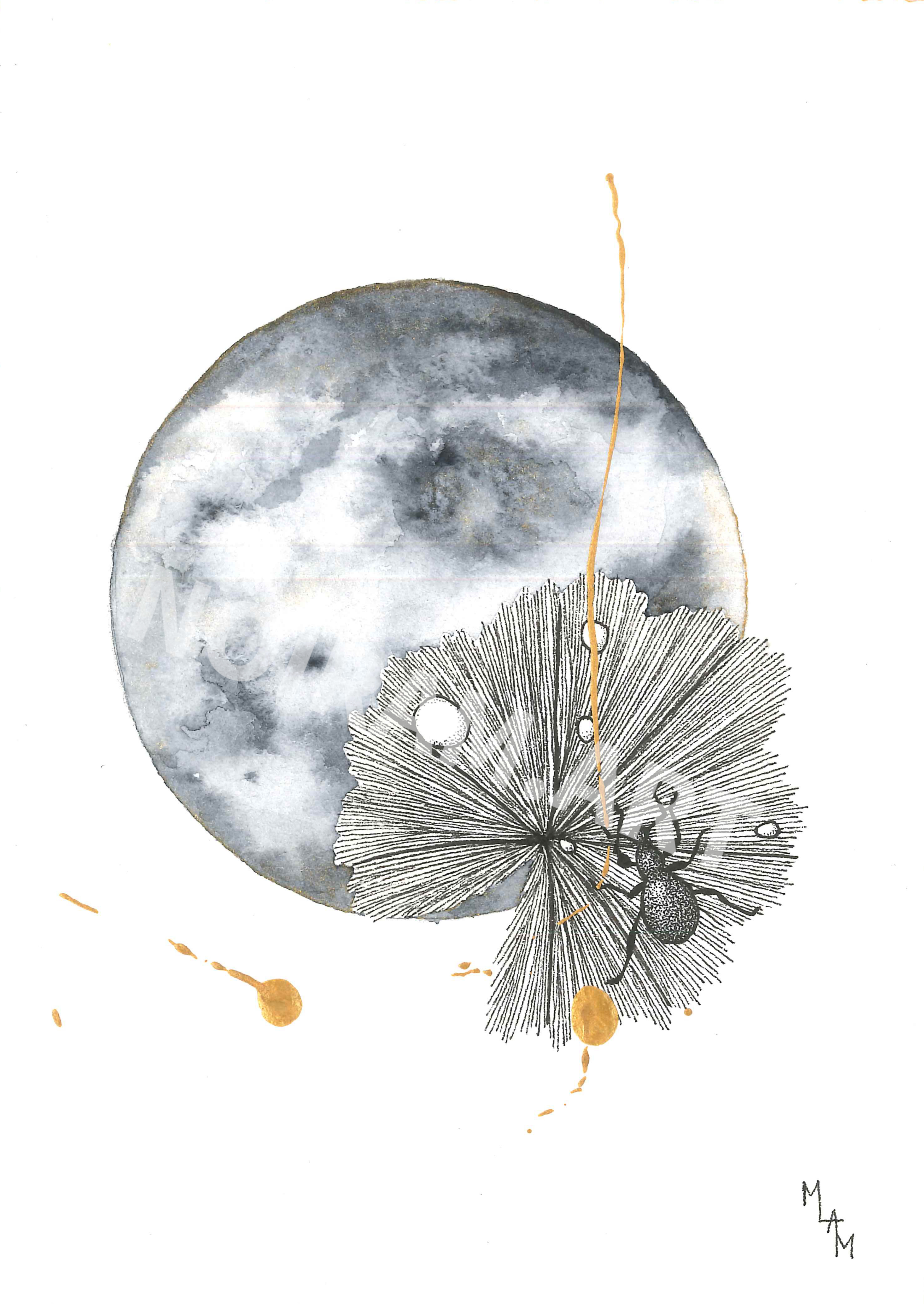 Aquarelle la métamorphose d'Hadès scarabé alchémille planète plante mlam noiram marion-lorraine poncet