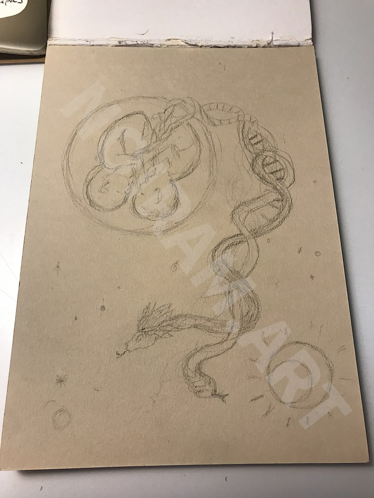 Croquis noiram mlam poncet jumeau serpent cosmique adn cosmos échelle