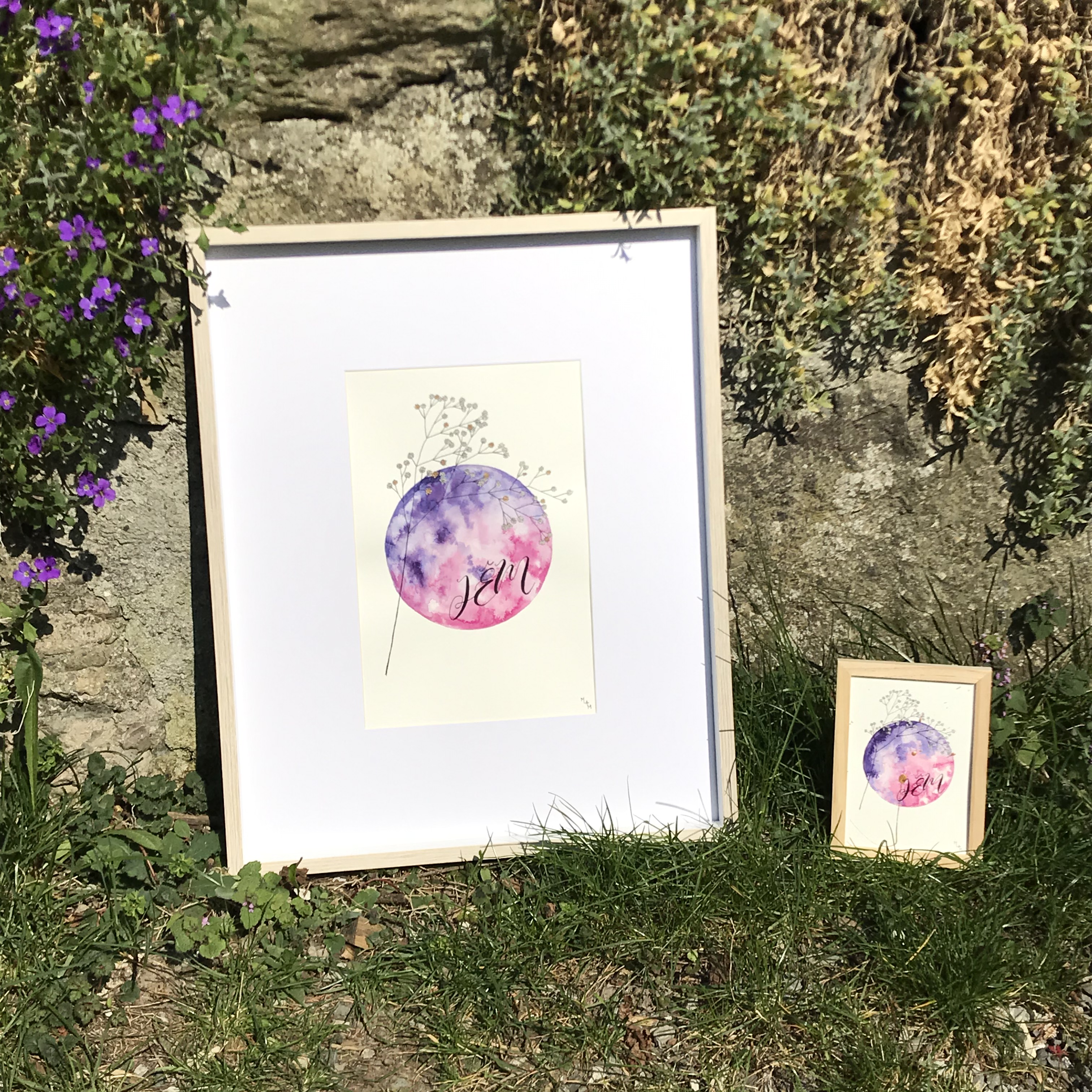 JÊM aquarelle mlam noiram Poncet Gypsophylle planète Erard