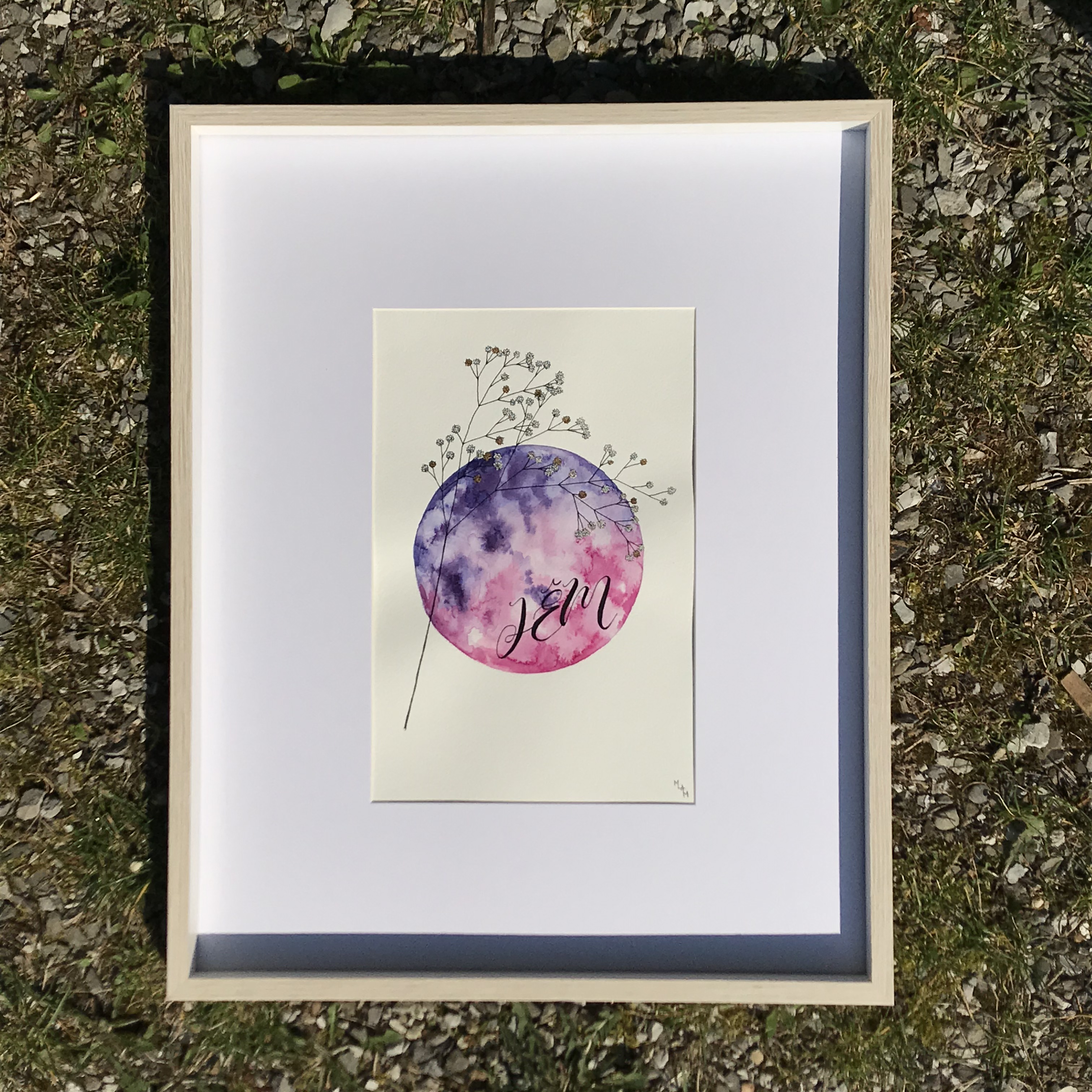 JÊM aquarelle mlam noiram Poncet Gypsophylle planète Erard