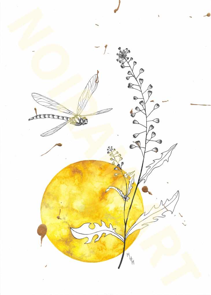 L'or de mes jours aquarelle mlam noiram Poncet libellule bourse à pasteur soleil planète or