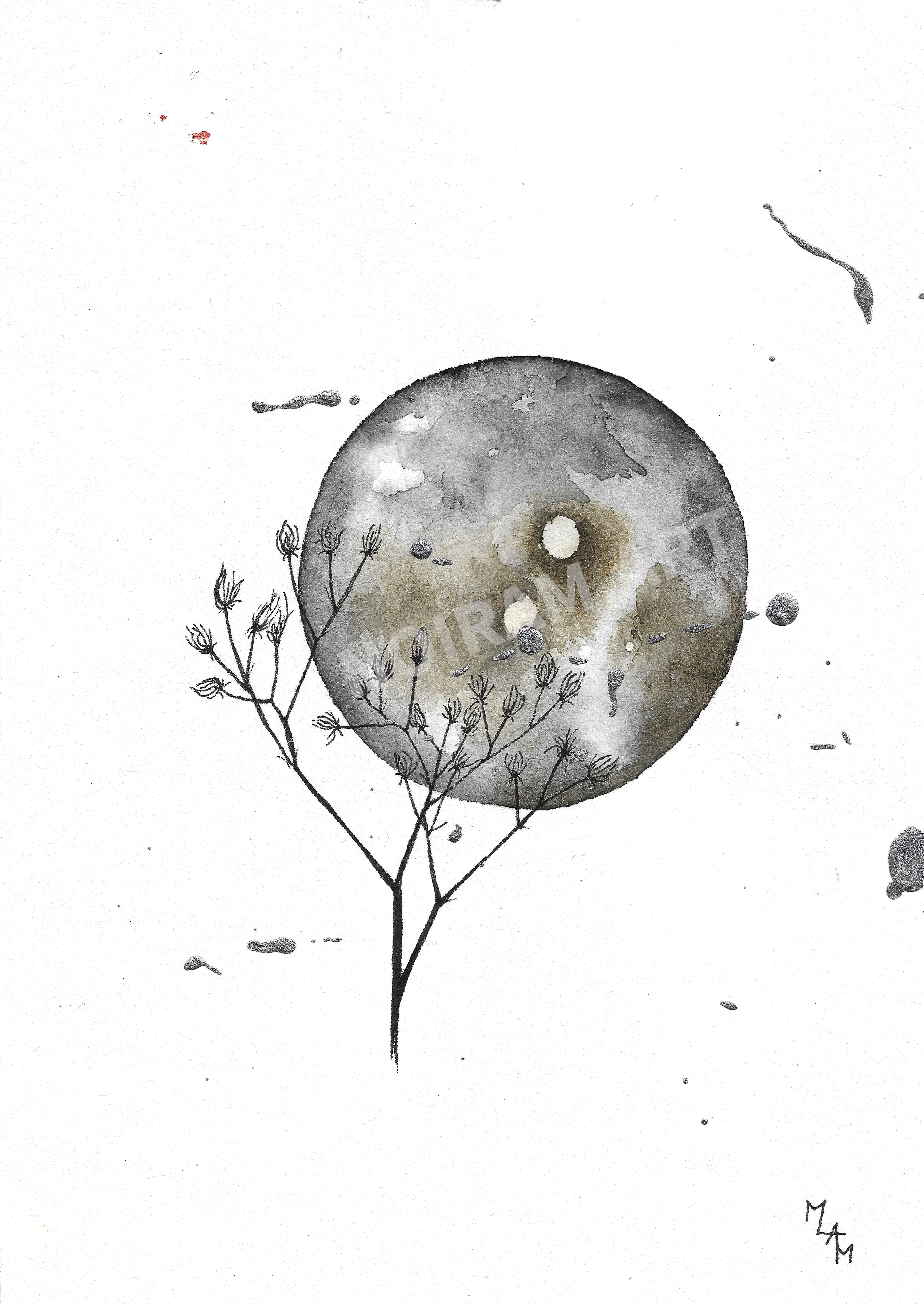 Aquarelle lune noire planète plante mlam noiram marion-lorraine poncet