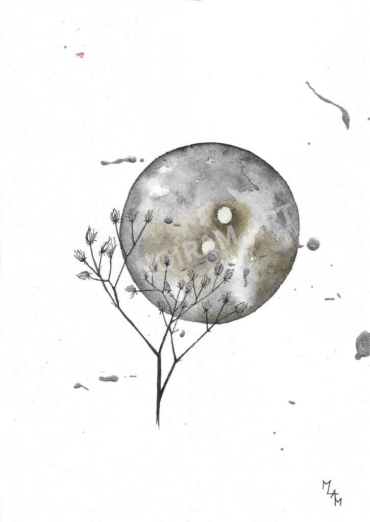 Aquarelle lune noire planète plante mlam noiram marion-lorraine poncet