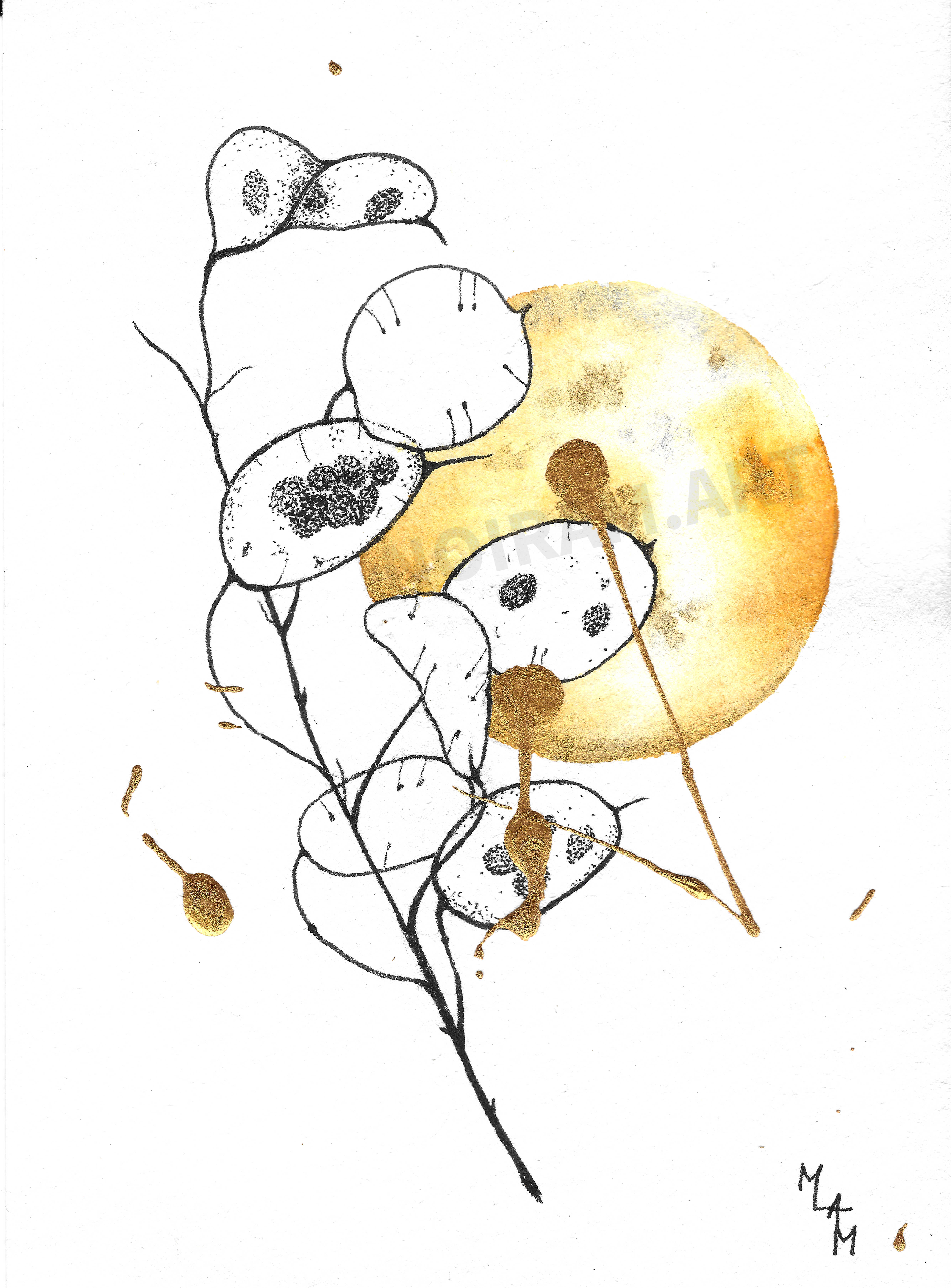 Aquarelle Soleil d'automne monnaie du pape mlam noiram marion-lorraine poncet planète plante