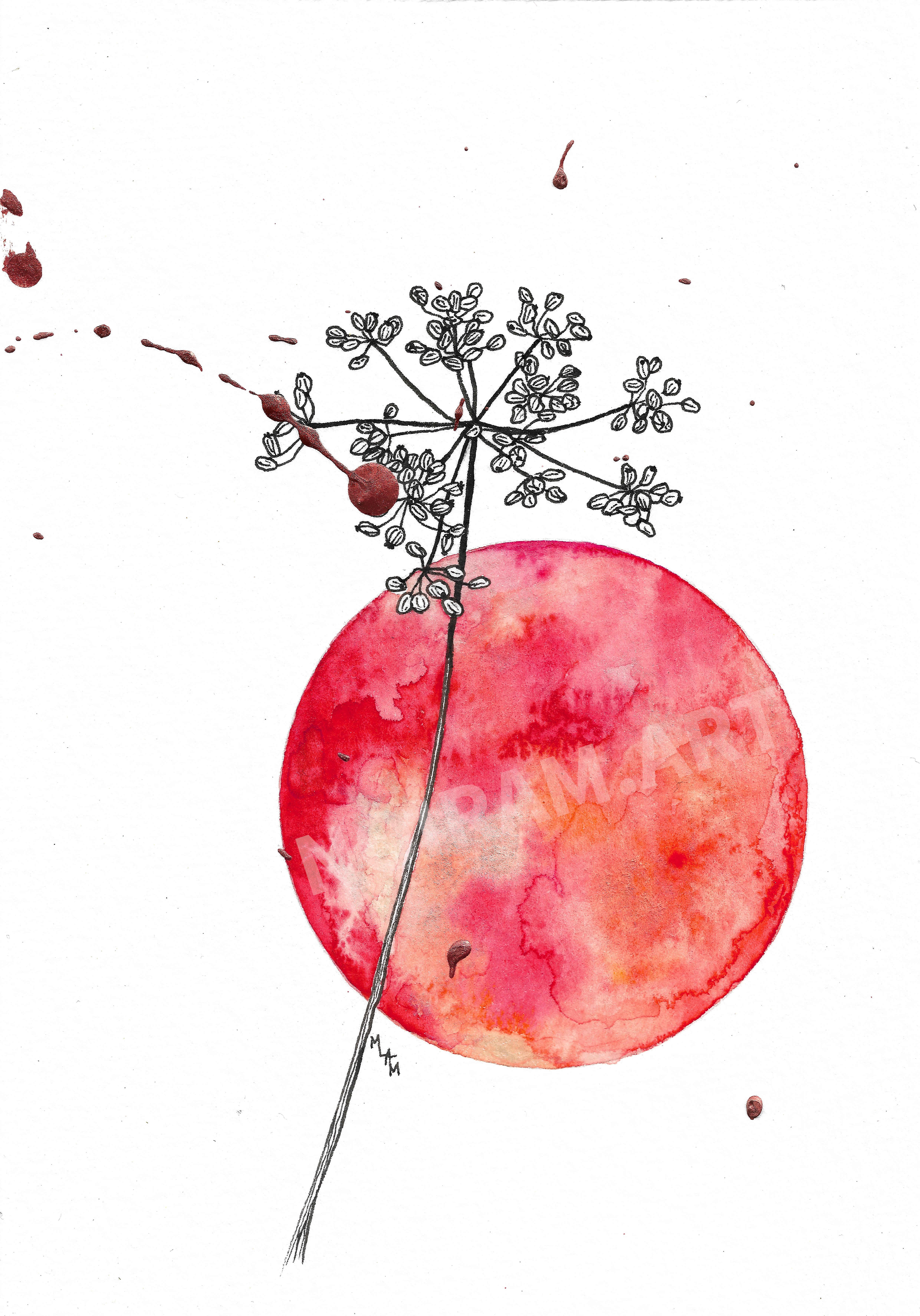 Aquarelle magma mlam noiram marion-lorraine poncet planète plante graminée bronze