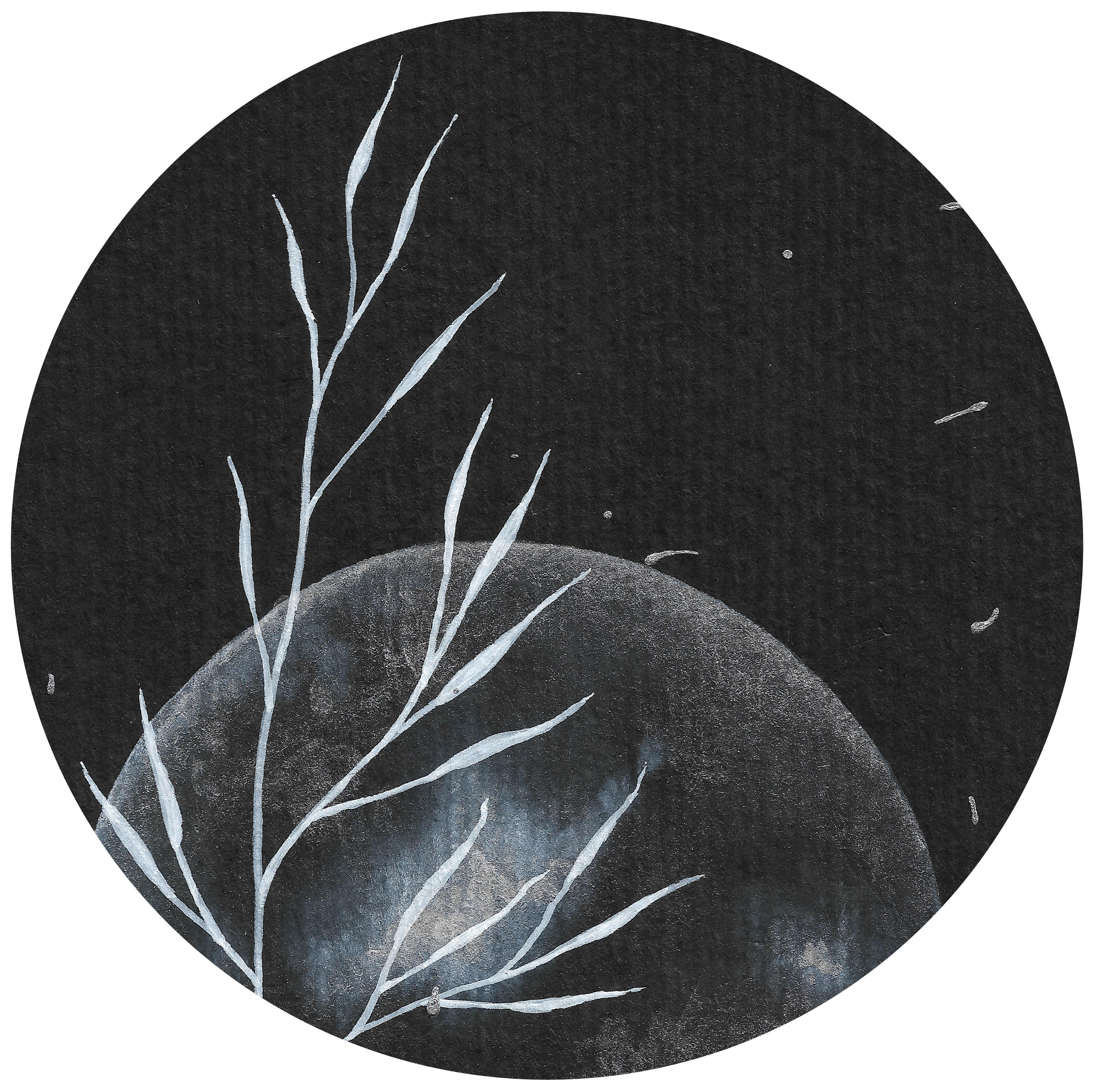 orfraie chouette effraie laboure lune champ nuit graminée marion-lorraine poncet mlam noiram aquarelle