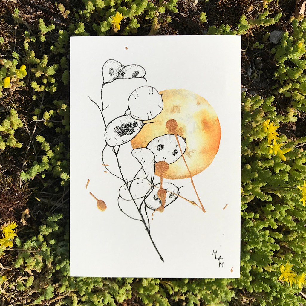 Aquarelle Soleil d'automne monnaie du pape mlam noiram marion-lorraine poncet planète plante carte