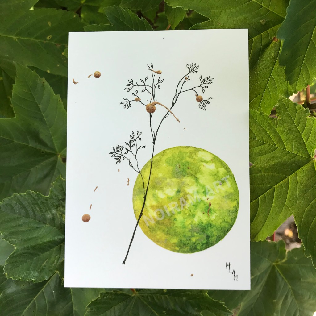 Aquarelle sylphide vert planète plante mlam noiram marion-lorraine poncet carte