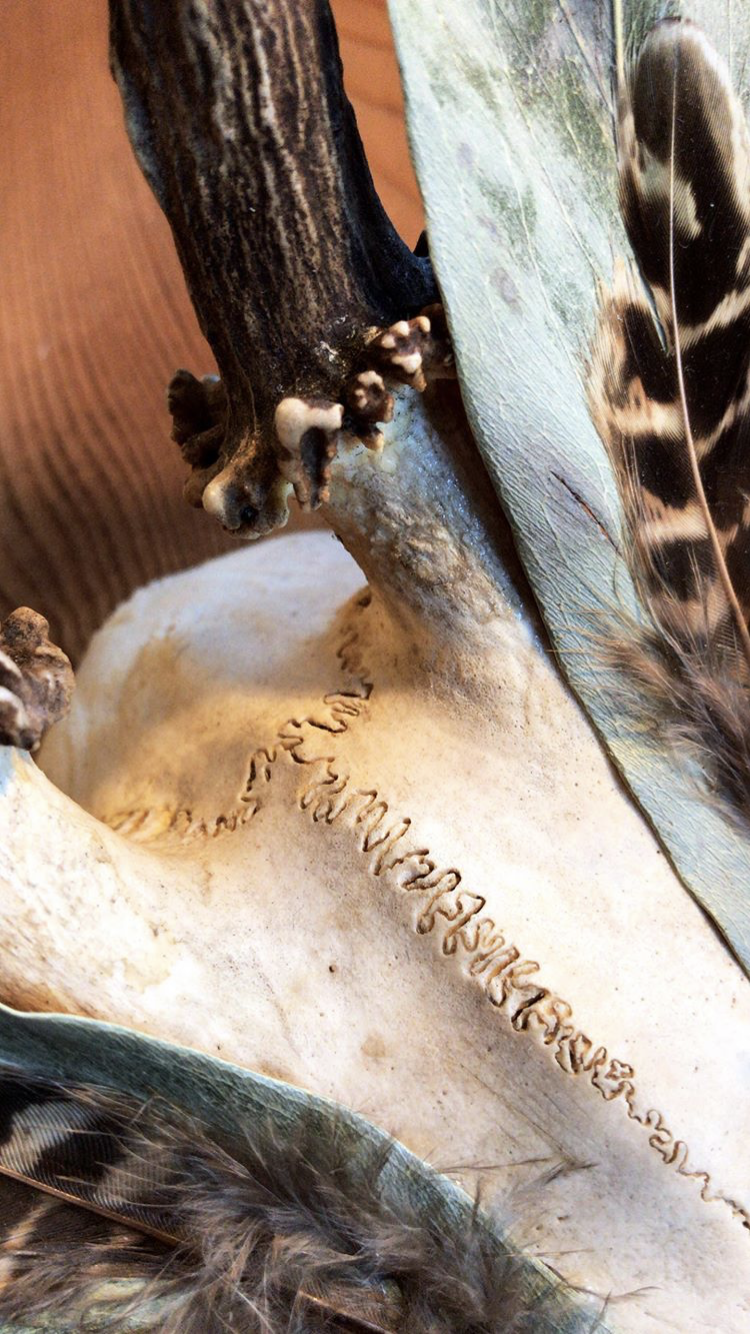 mlam noiram plume feuille