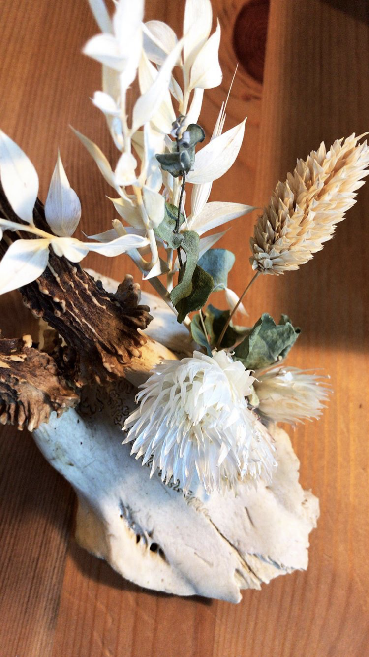 mlam noiram crâne fleurs séchées