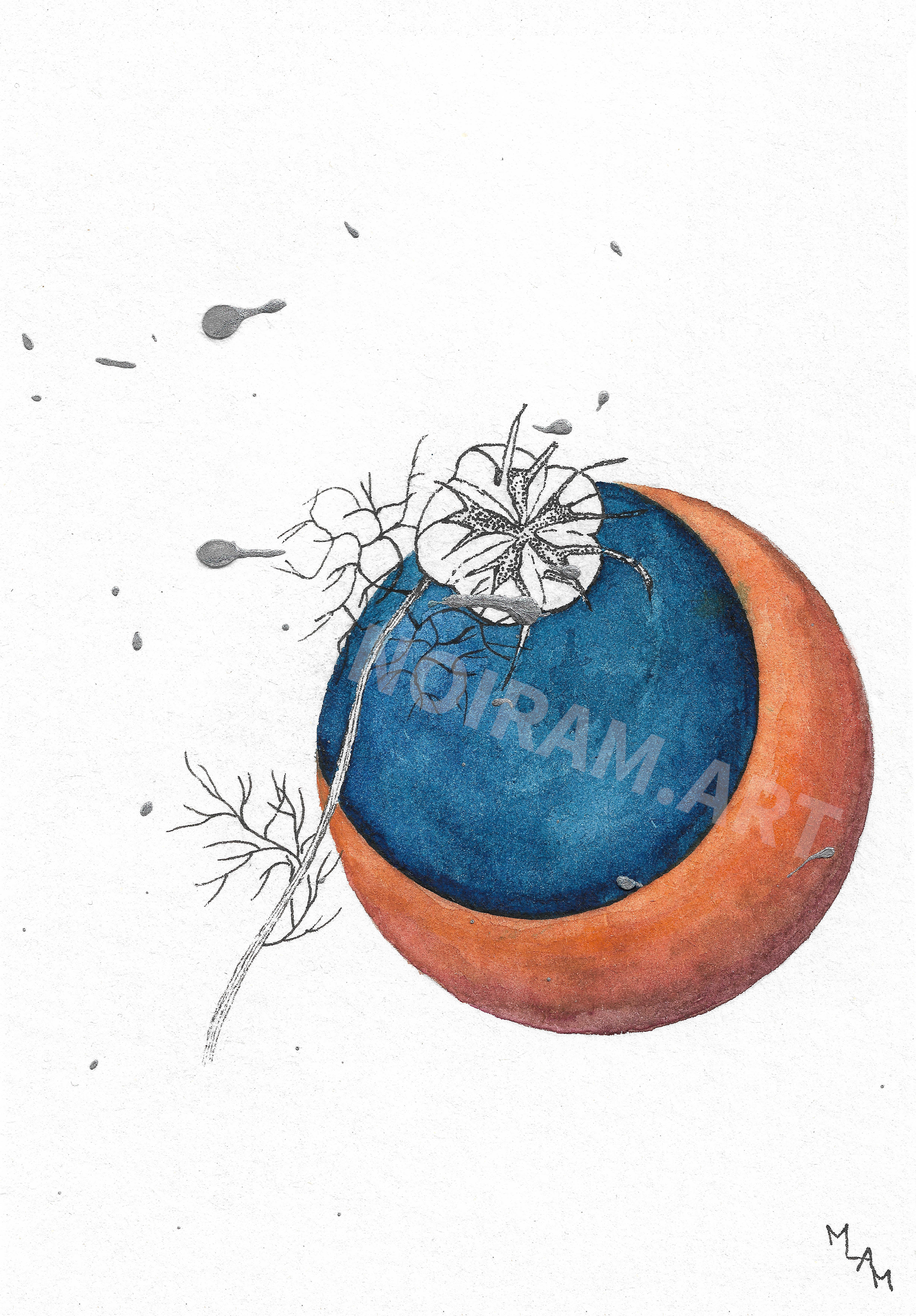 Aquarelle lune d'automne nigelle planète plante mlam noiram marion-lorraine poncet