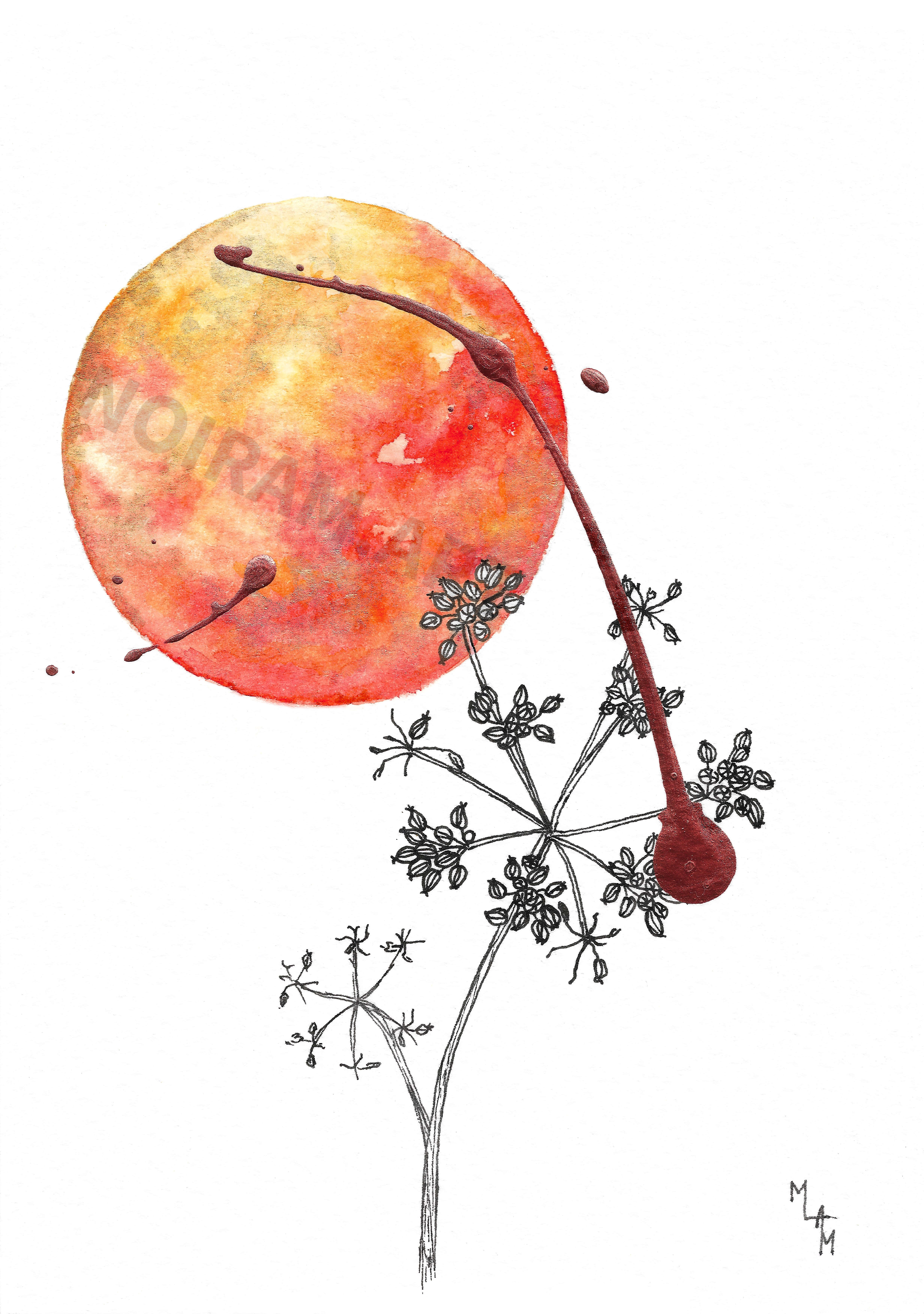 Aquarelle mithra mlam noiram marion-lorraine poncet planète plante