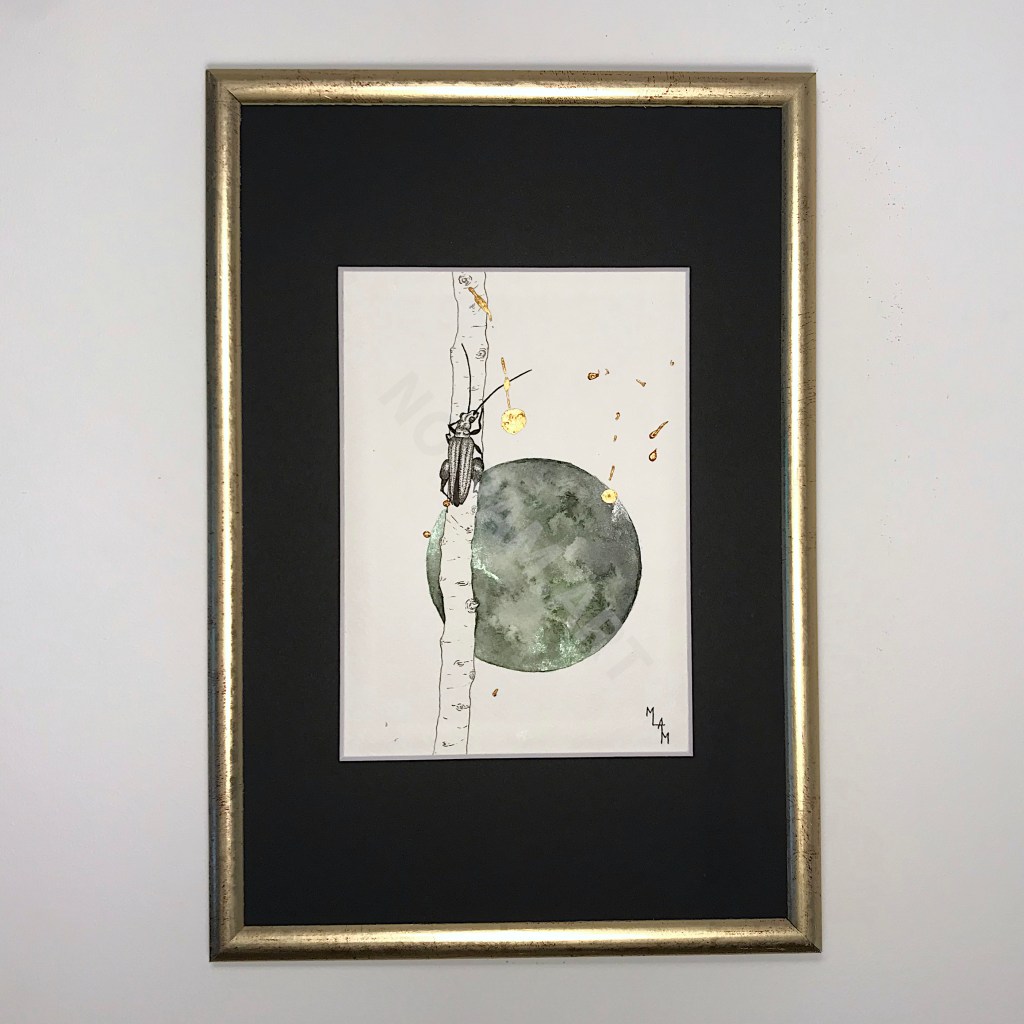 mlam noiram marion-lorraine poncet insecte nicodemus or planète aquarelle