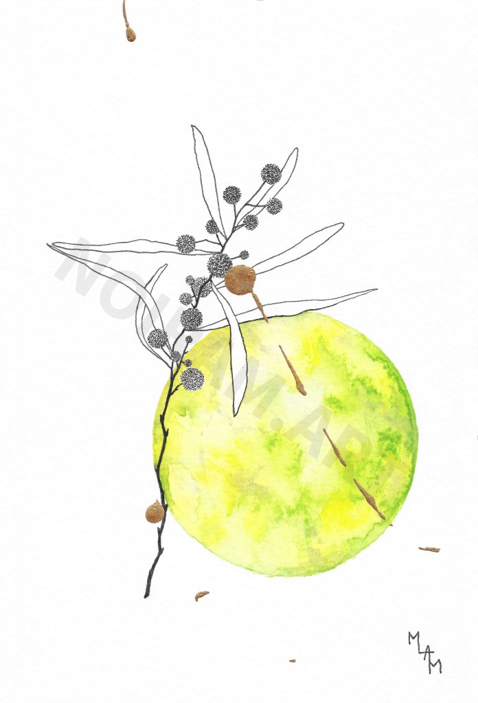 mlam marion-lorraine poncet noiram aquarelle mimosa nul ne sait à quel point je t'aime planète
